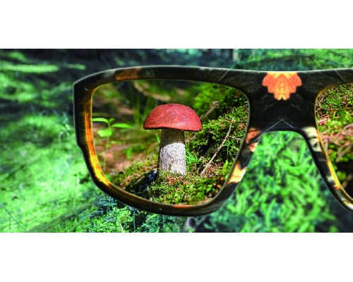 Очки грибника Триколор, SG-002