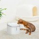 Автопоилка Xiaomi Фонтан для кошек и собак Mijia Smart Pet Water Dispenser XWWF01MG