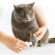 Триммер для когтей домашних животных Pawbby Pet Electric Nail Sharpener (MG-NG001)