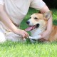Триммер для когтей домашних животных Pawbby Pet Electric Nail Sharpener (MG-NG001)