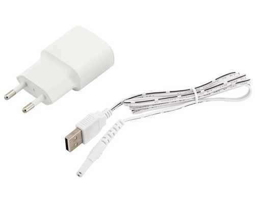 Ирригатор Revyline RL 210, белый/синий