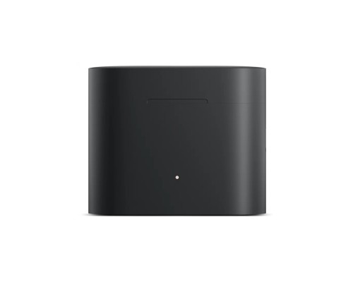 Наушники Xiaomi Mi True Wireless Earphones 2 Pro TWSEJ10WM (BHR5264GL) черные