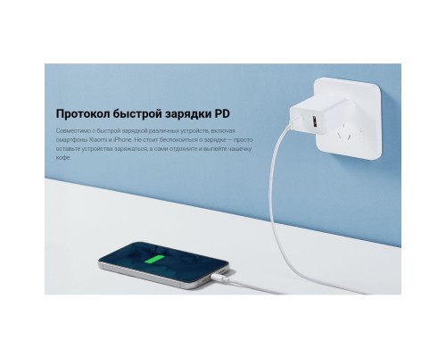 Сетевое зарядное устройство Xiaomi Mi 33W Wall Charger (Type-A + Type-C) Global (BHR4996GL), белый